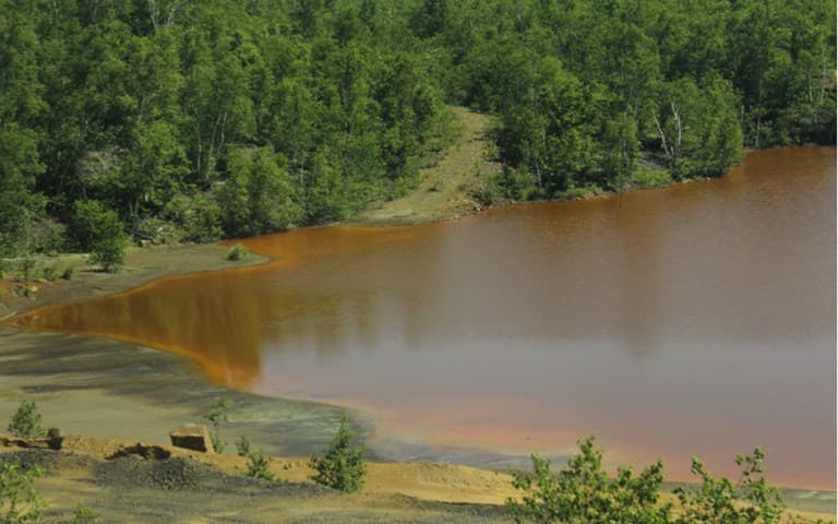 Bactéria pode ajudar na extração a partir de rejeitos