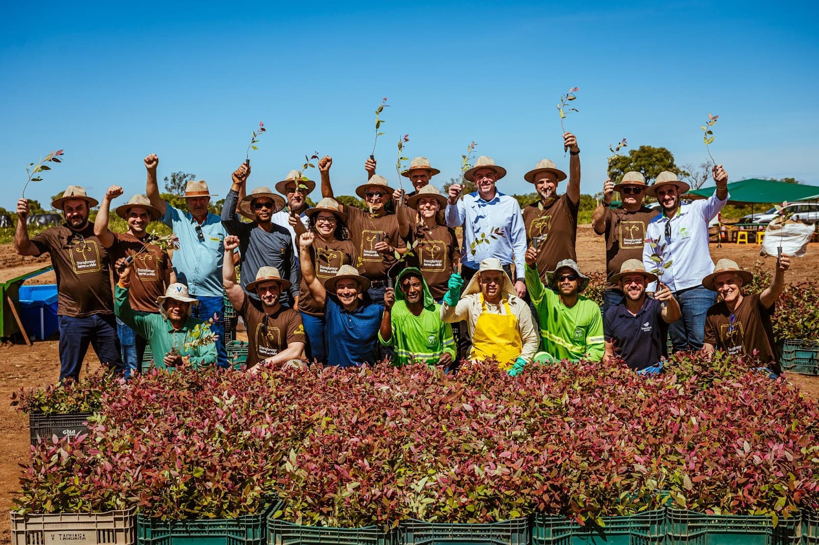 Galvani investe R$ 22 milhões para gerar biomassa 