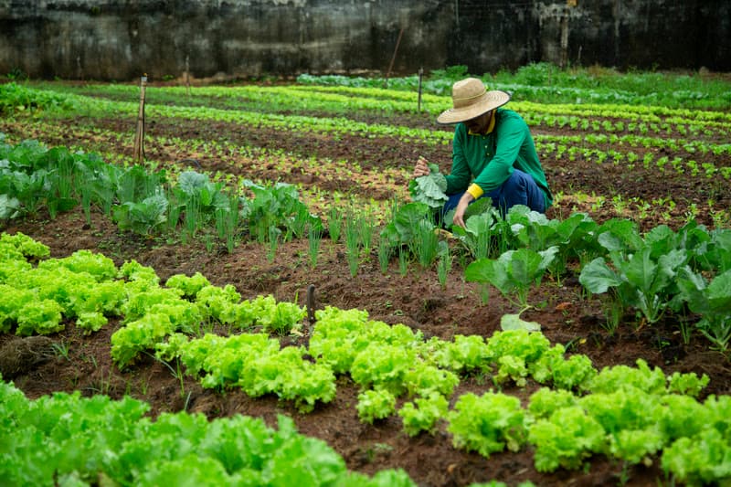 Inscrições abertas para o Parcerias Sustentáveis 2024