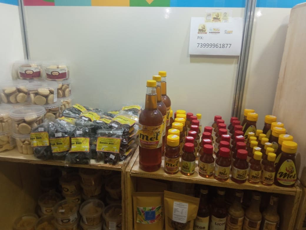 Appian Capital Brazil seleciona projetos socioculturais para 2024