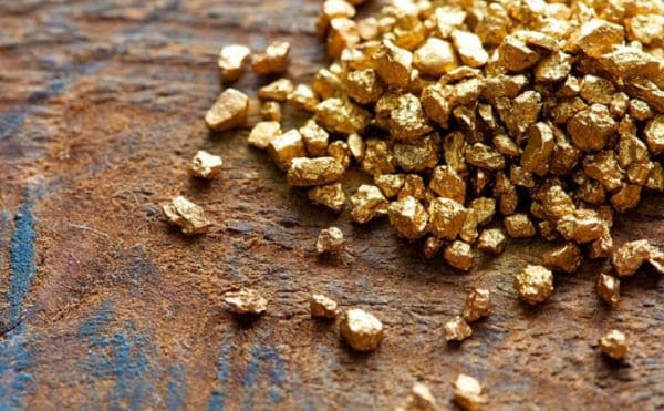 SGB realiza leilão do projeto Natividade, em Tocantins 