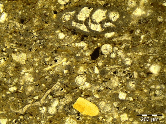 SGB avalia potencial de fosfato na Bacia potiguar