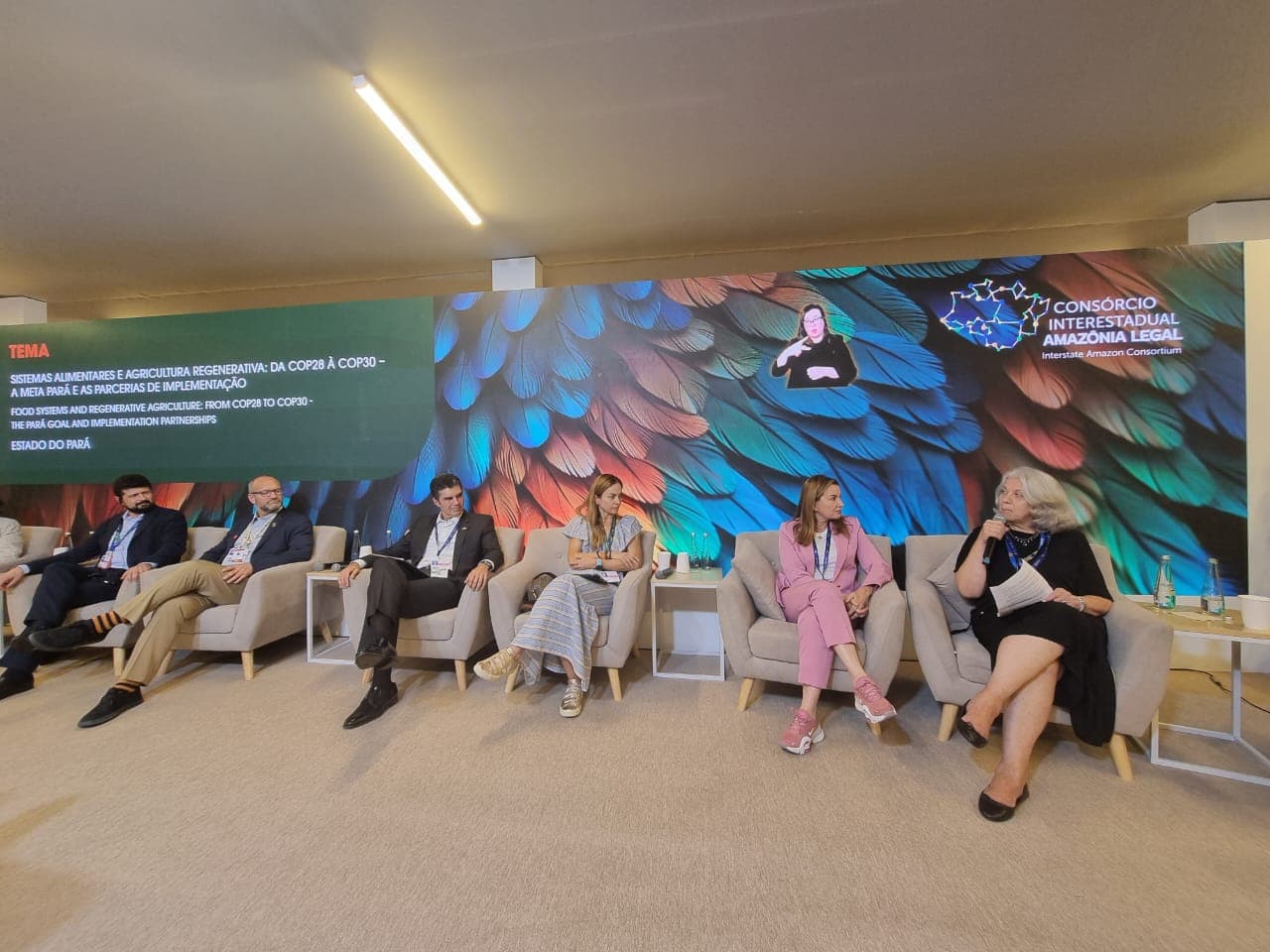 Vale quer investir pesado em recuperação de florestas no Pará