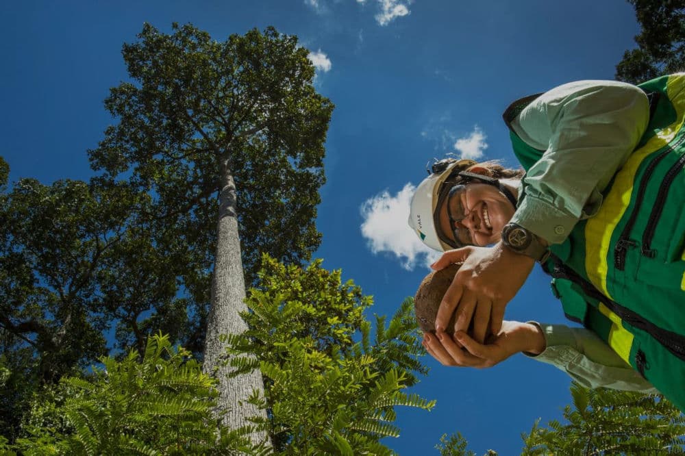 Vale Base Metals lança desafio de inovação em mineração circular