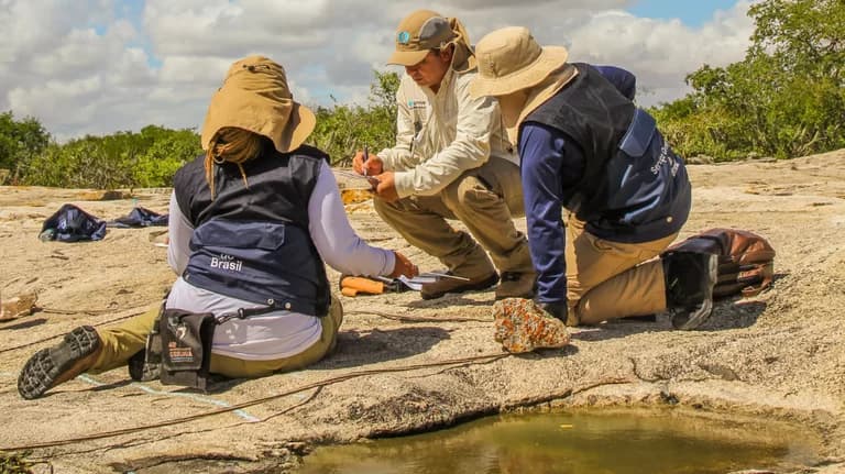 Abatendo despesas com pesquisa mineral do Imposto de Renda