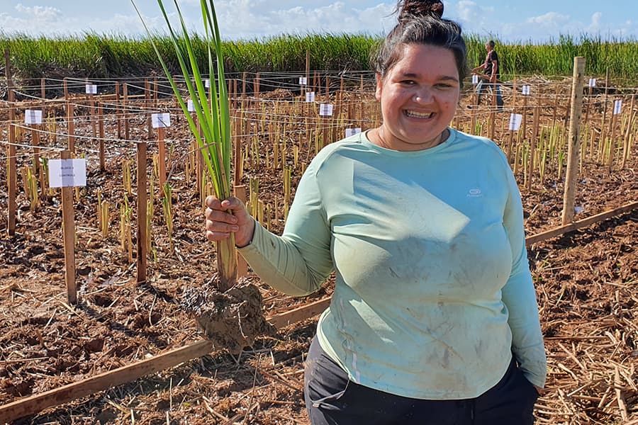Pesquisa da Esalq mostra reutilização e valorização de rejeitos