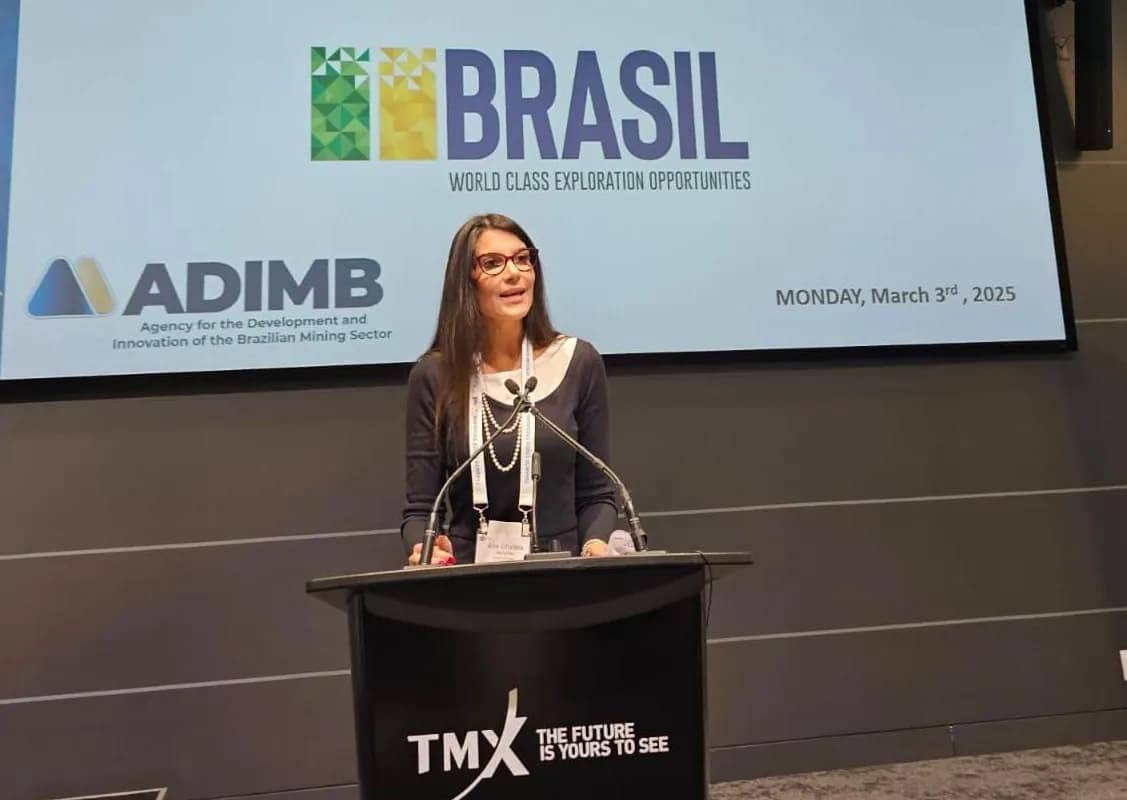 Brasil pode ter papel relevante na produção de minerais críticos