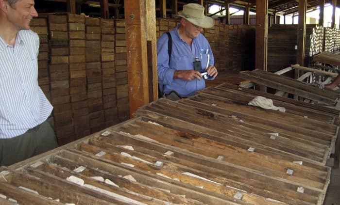 Piauí Nickel Metals é reconhecido por práticas ESG