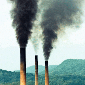 Evento em São Paulo discute descarbonização e transição energética na era Trump