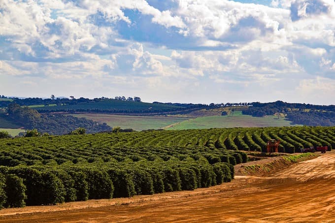 CBA renova parceria com ABIC para neutralizar emissões