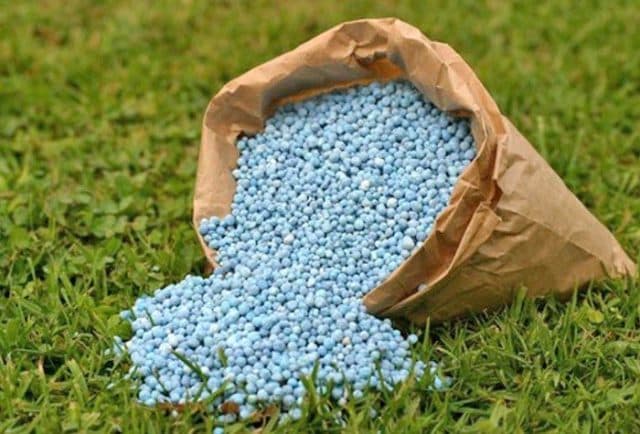 Produção de intermediários cai 12% no quadrimestre