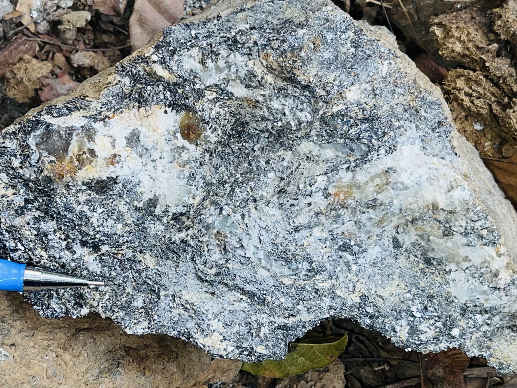 Mapa do SGB mostra áreas favoráveis a depósitos de grafita