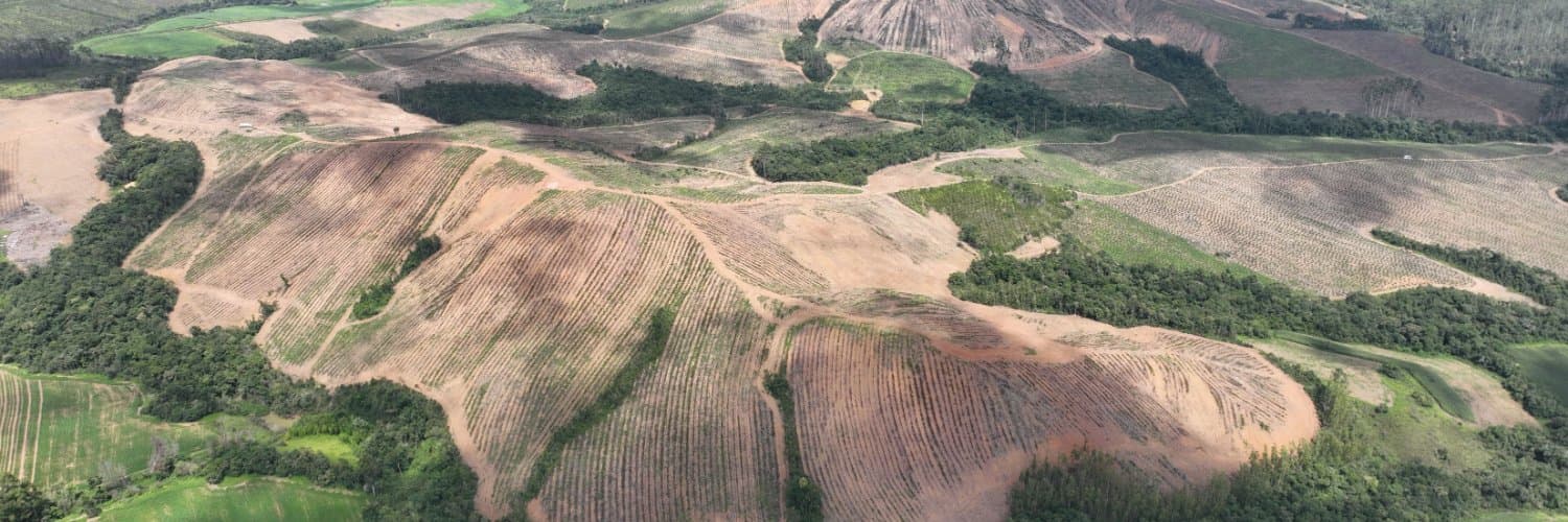 Meteoric Resources adiciona novas áreas de alto teor em Minas Gerais