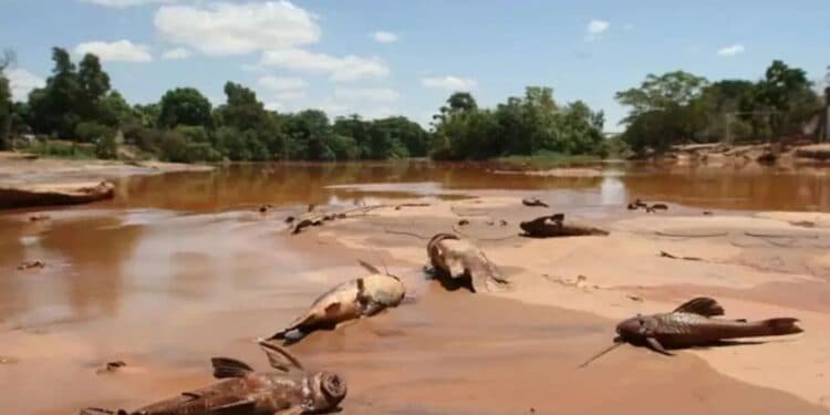Municípios afetados recebem primeira parcela do acordo de reparação