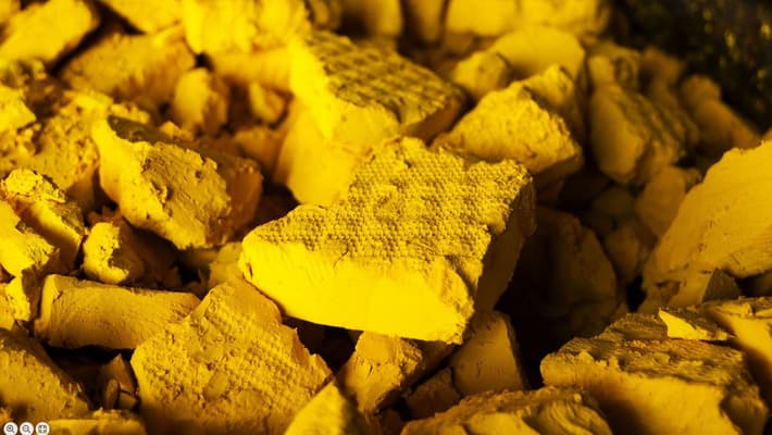 Estudo sugere crescimento na produção nos próximos anos