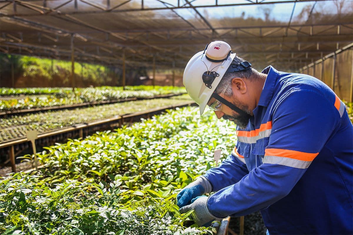 Emissões dos escopos 1 e 2 caíram 21% em três anos