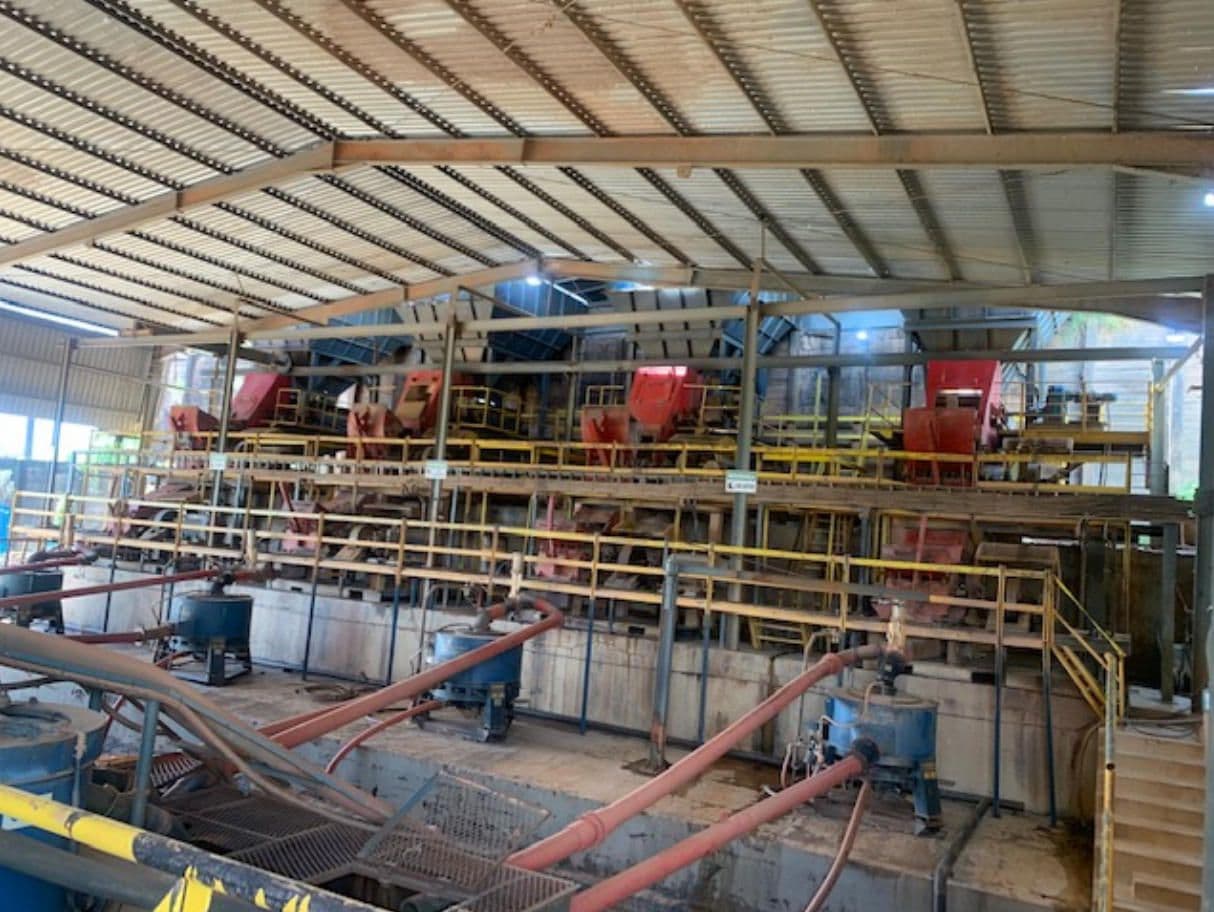 Fênix inova na cadeia de comercialização