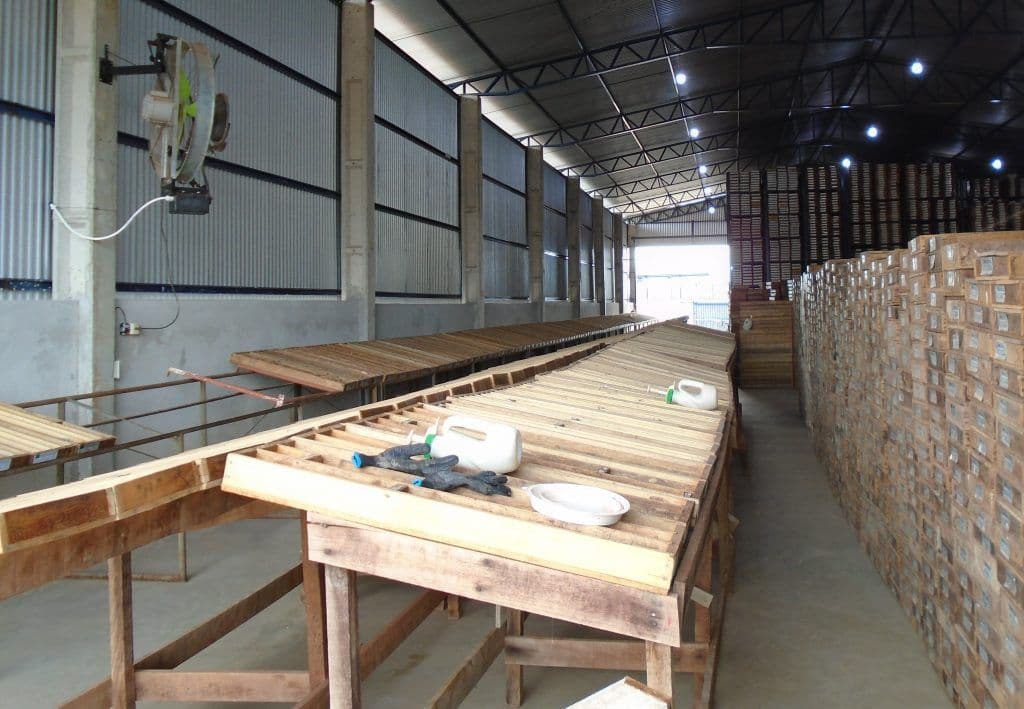 Aura Minerals reafirma metas de crescimento