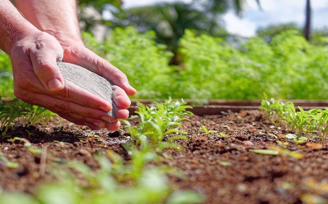Bahia investe no reaproveitamento de resíduos