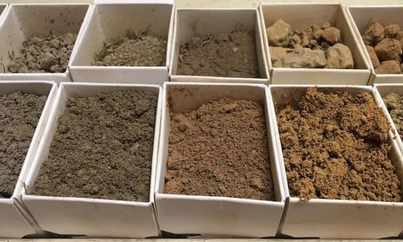 Canadense Appia firma acordo para terras raras em Goiás