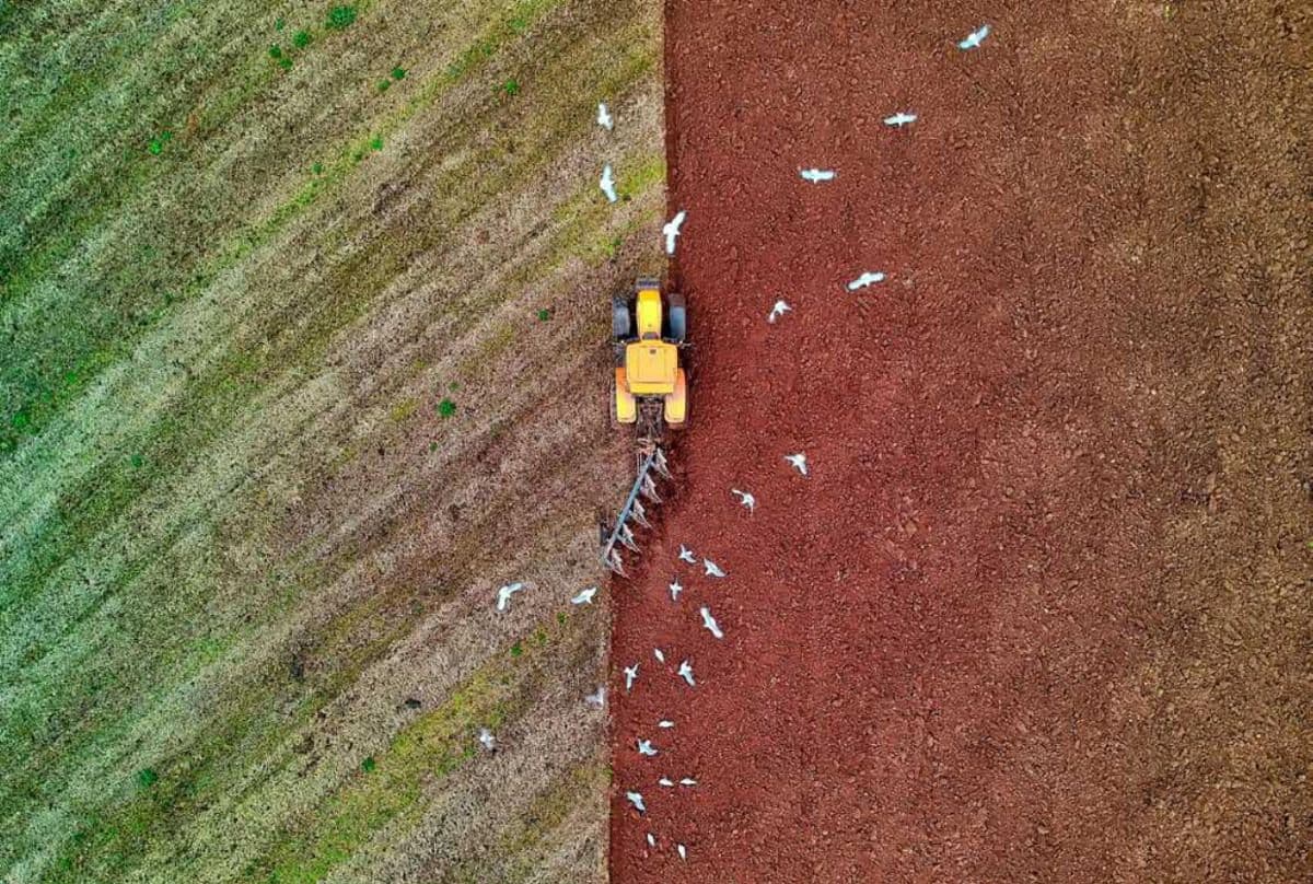 Criação de solos saudáveis à partir de rejeitos e estéreis