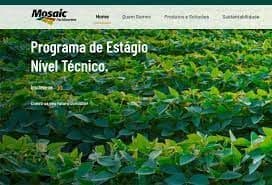 Mosaic prorroga inscrições até o final de fevereiro