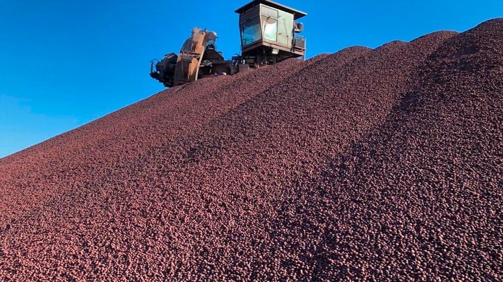 Vale muda Comitê Executivo e cria novas vice-presidências