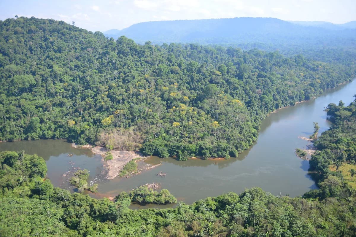 Adesão à campanha em prol da biodiversidade
