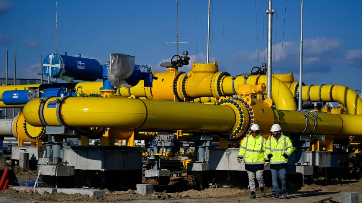 Olhe o que os outros fazem, não o que dizem