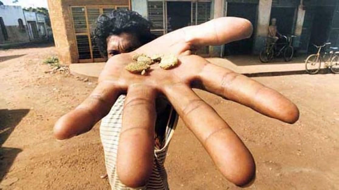 É possível a convivência entre empresas e garimpo?