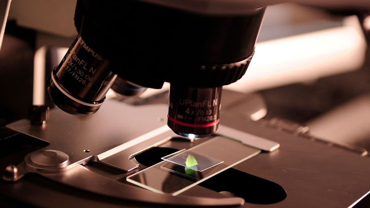 Ciências de dados para analisar rochas