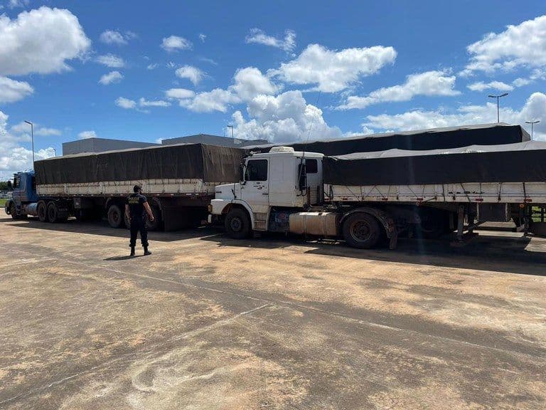 PF apreende 60 t que seriam exportadas