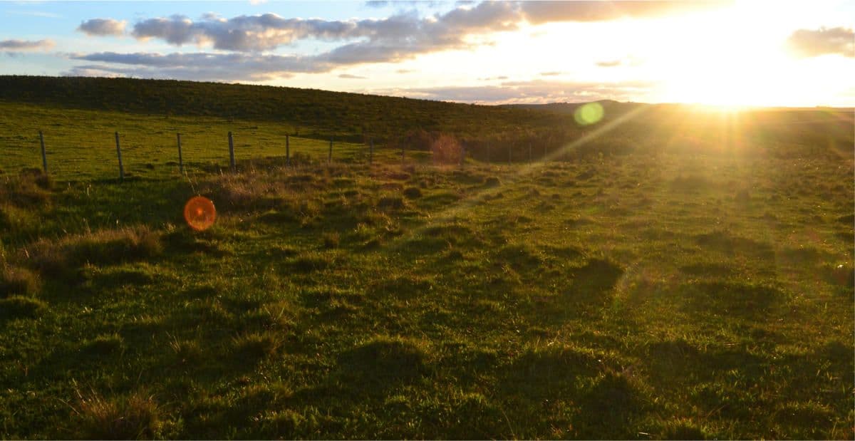 Águia aguarda decisão judicial para iniciar projeto