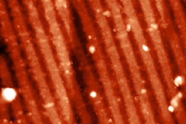 Termomecanica quer novos destinos a subprodutos