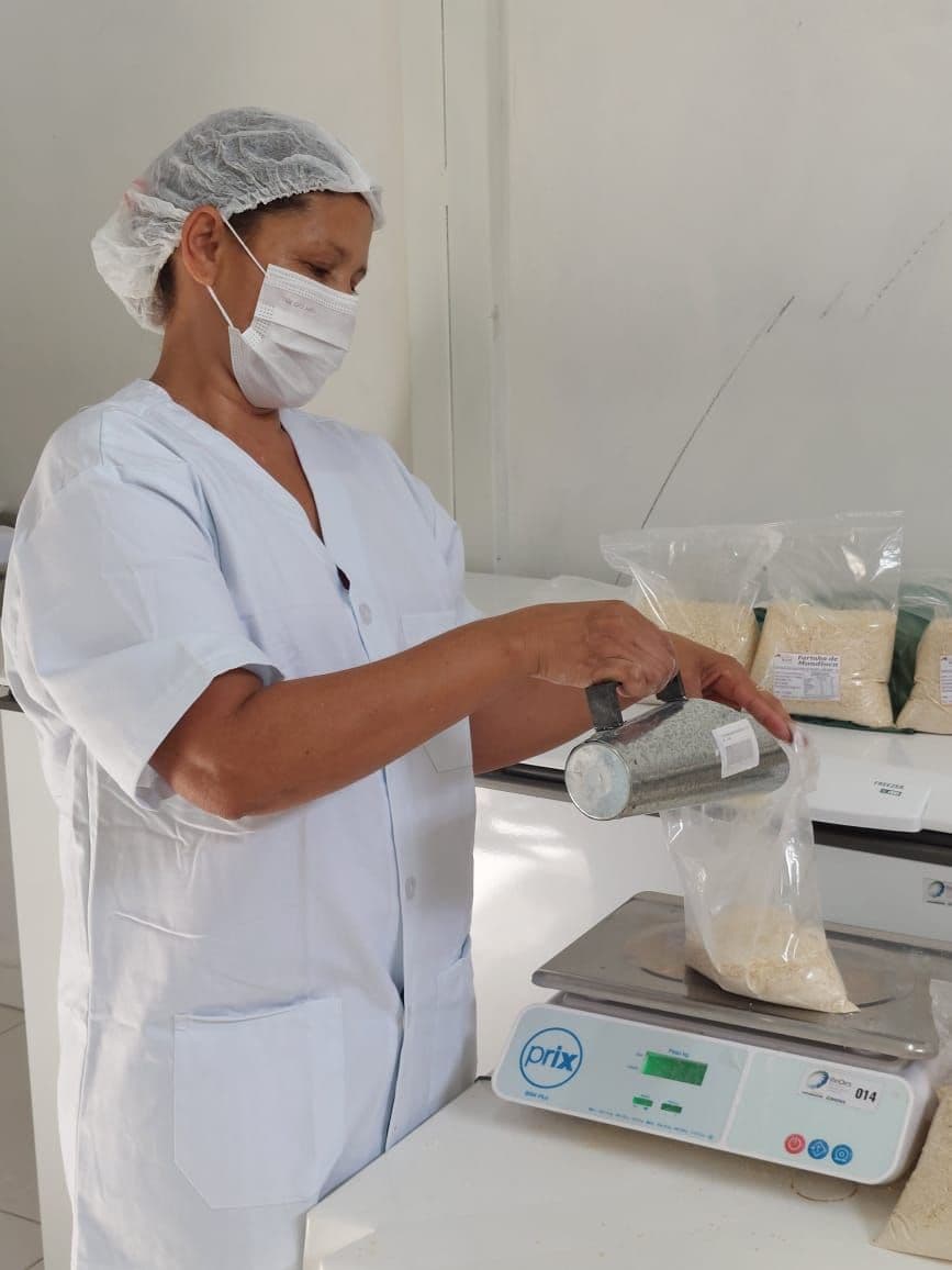 Programa Redes alavanca produção de mandioca