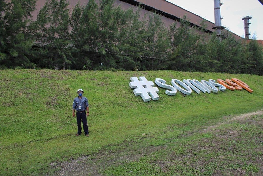 Barreira Verde recebe mais oito mil mudas