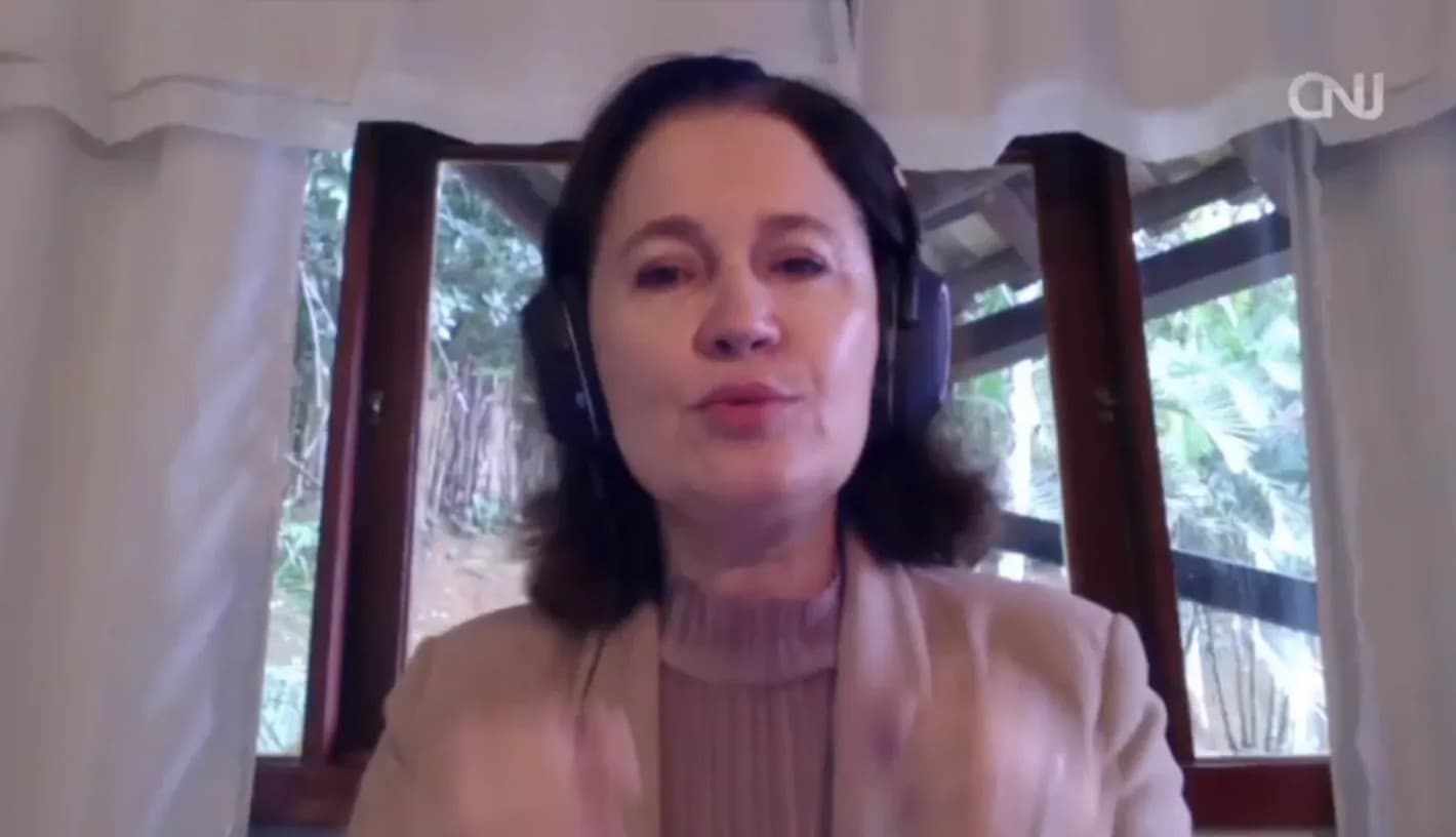 Para CEBDS, empresas são contra mineração