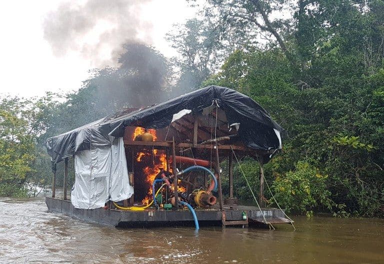 PF, Ibama e PM combatem extração em Rondônia