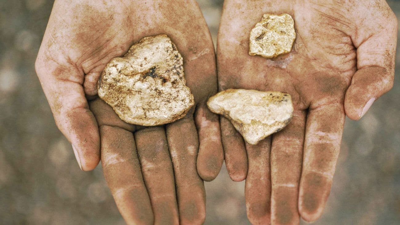 Segundo estudo, Brasil vendeu 229 t ilegalmente