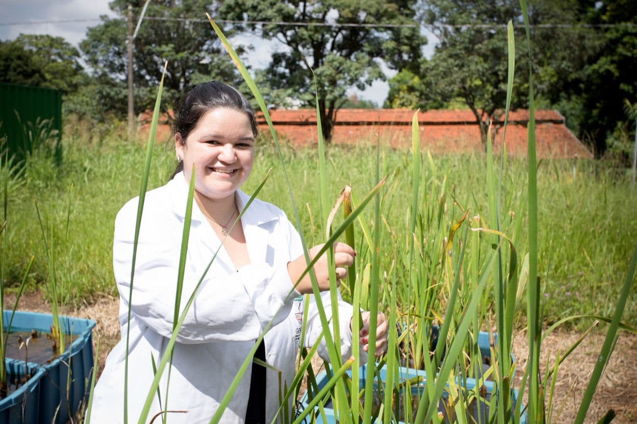 Planta aquática para mitigar danos ambientais