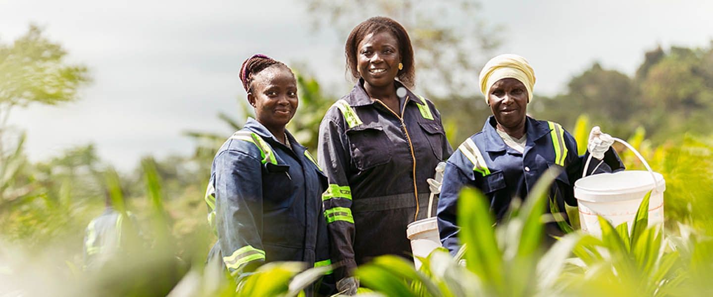 A contribuição das associadas do WGC no Brasil