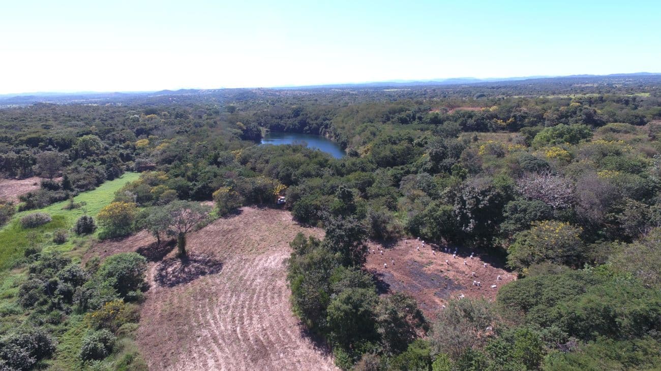 Avanços no depósito Pastinho