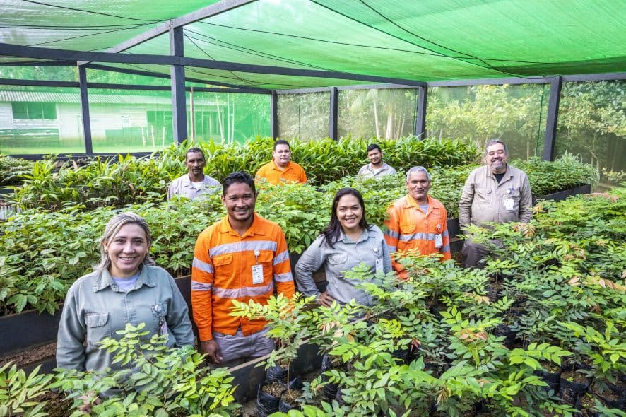 Plataforma para neutralizar carbono no Amapá