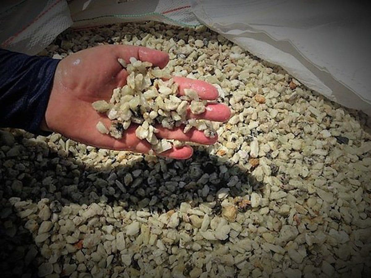 Sigma Lithium e LG Energy assinam contrato