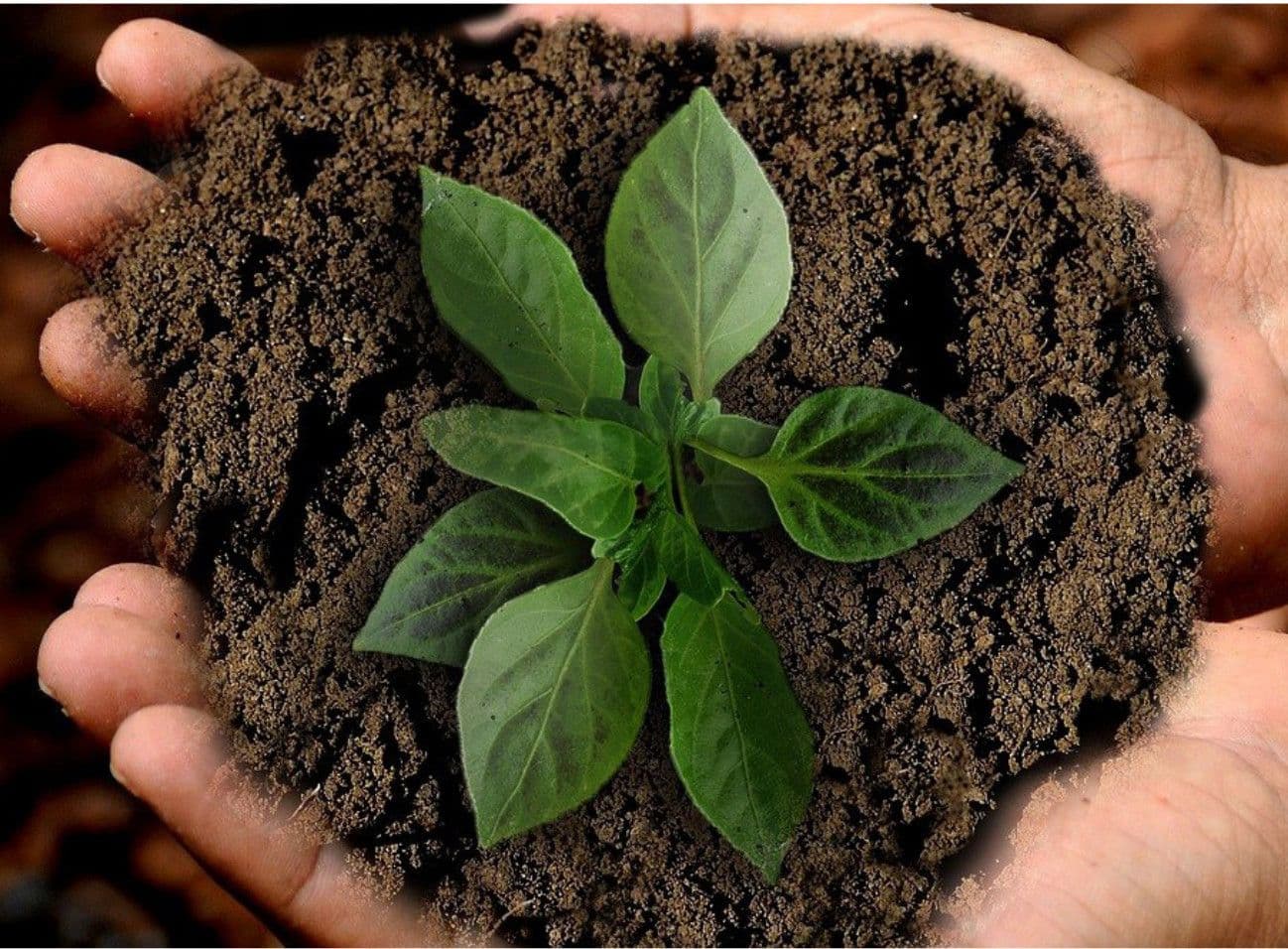 O que as mineradoras estão fazendo pela sustentabilidade?