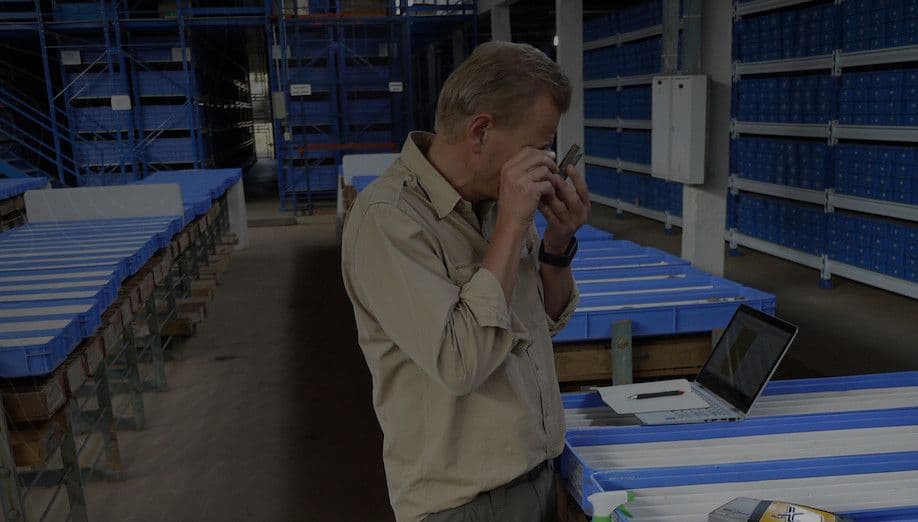 Alvo Minerals vai iniciar trabalhos em Palmeirópolis