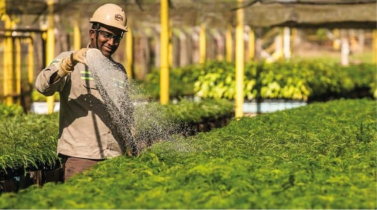 MRN lança Relatório 2020