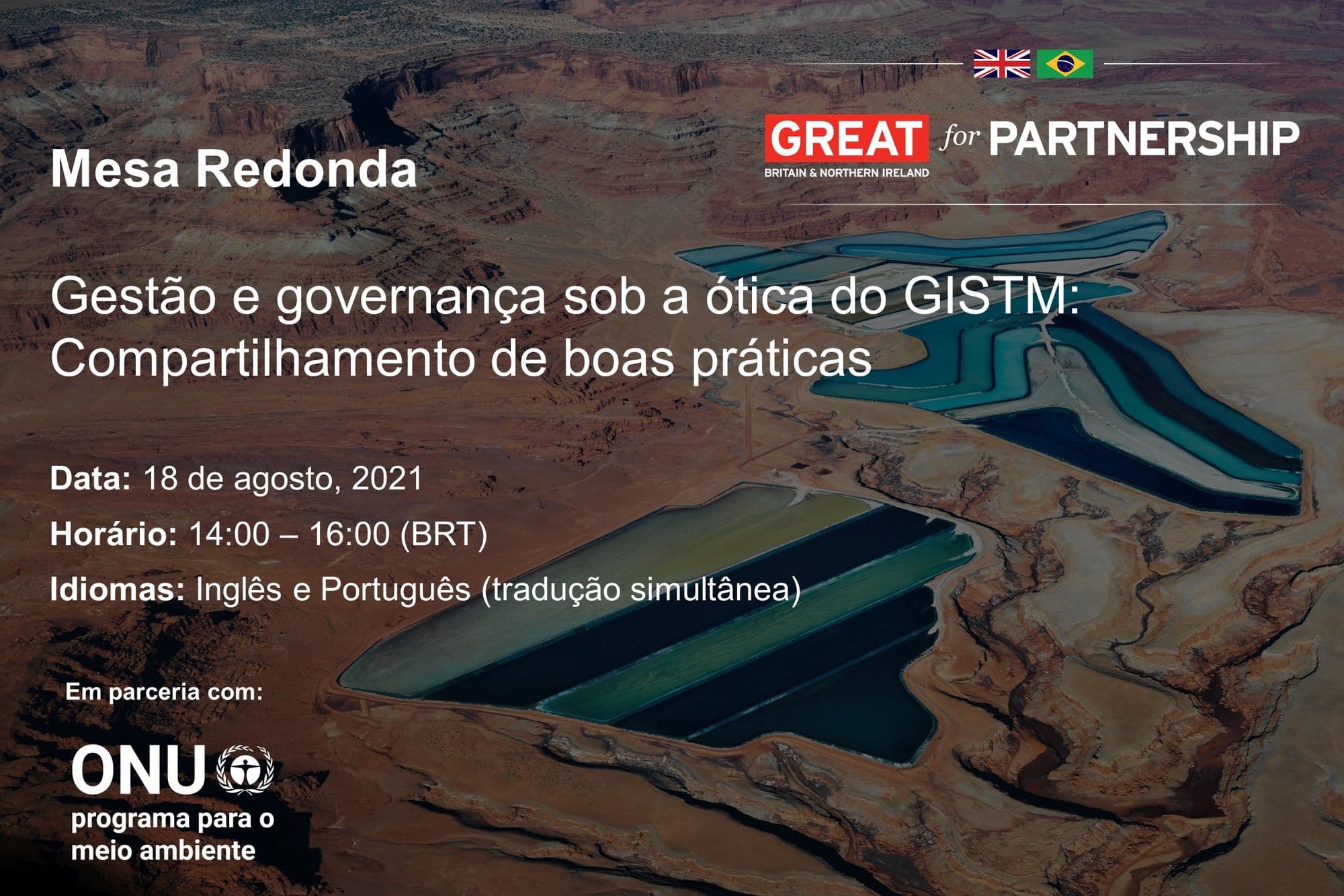 Governo britânico e PNUMA debatem Gestão
