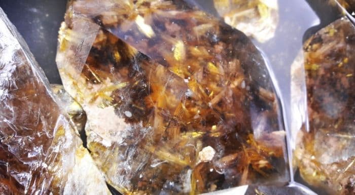 Umyne investe US$ 5 milhões na Bahia