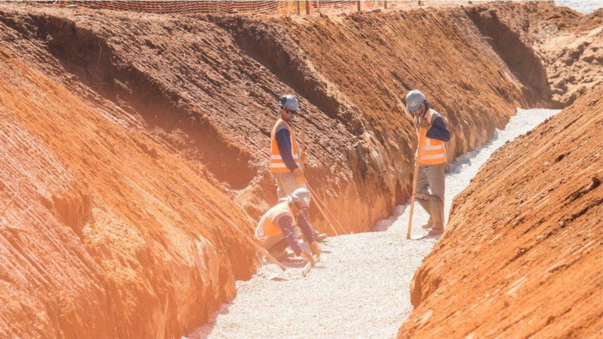 Vale reitera programas de reparação